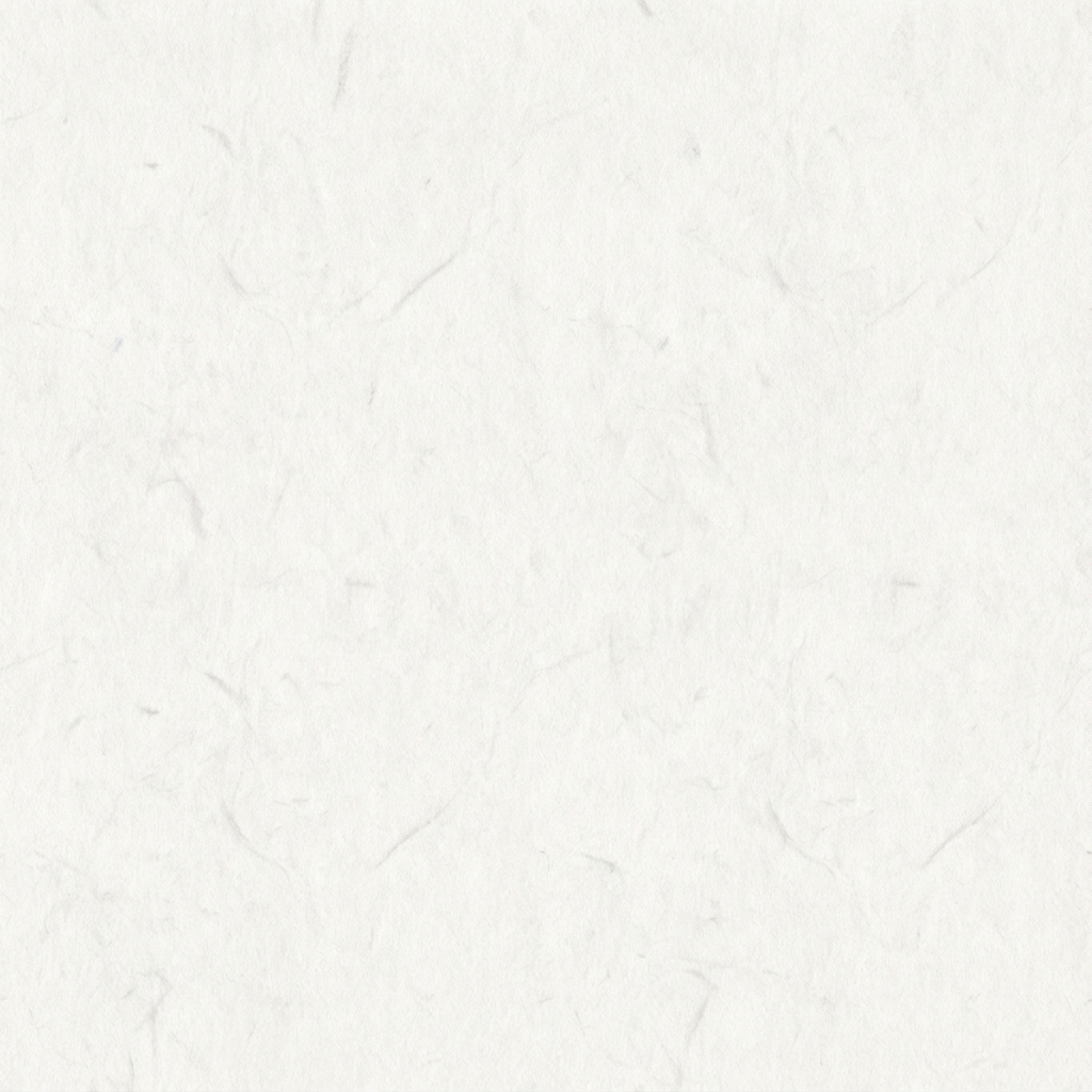 Washi Paper Texture